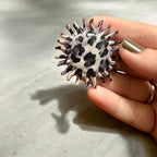 Jakris round earring with leopard and zebra print and a serrated edge held in a hand